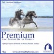 Calm Health Horses Premium NZ Horse Minerals 2kg Discount