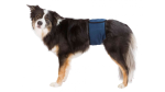 Trixie Belly Band for Male Dogs Small Cheap