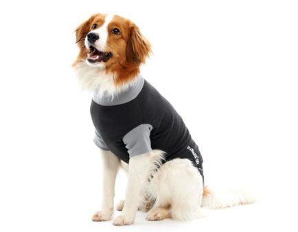 Buster Body Suit Dog X-Small Discount