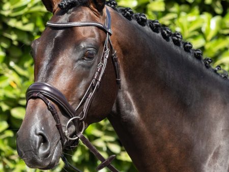 Premier Equine Stellazio Anatomic Snaffle Bridle with Flash Sale