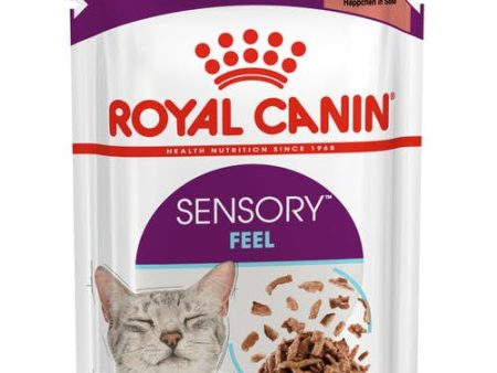 Royal Canin Sensory Feel Morsels in Gravy 85G 12 Pack Cheap