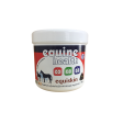 Equine Health Equiskin 500G For Discount