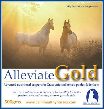 Calm Healthy Horses AlleviateGold 4kg Supply