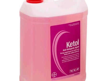 Ketol 5L Discount