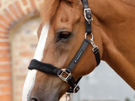 Premier Equine Fleece Padded Horse Head Collar Online Sale