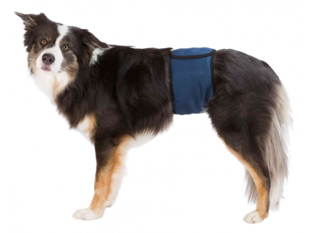 Trixie Belly Band for Male Dogs Medium Supply