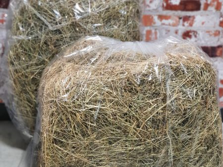 KiwiPetz Meadow Hay Combo Online Hot Sale