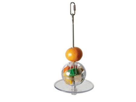 Foraging Ball & Kabob Hot on Sale