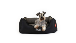 EzyDog 2in1 Ortho Smart Bed Charcoal Black Supply