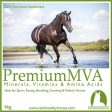 Calm Healthy Horses Premium MVA 4kg Online Hot Sale