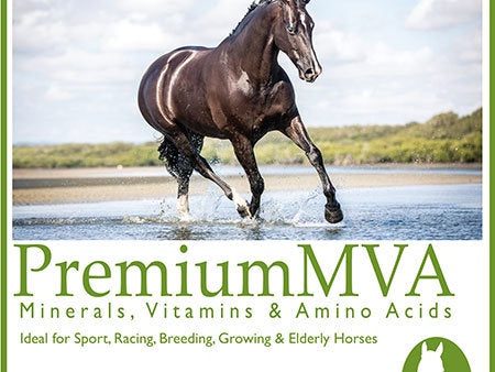 Calm Healthy Horses Premium MVA 4kg Online Hot Sale