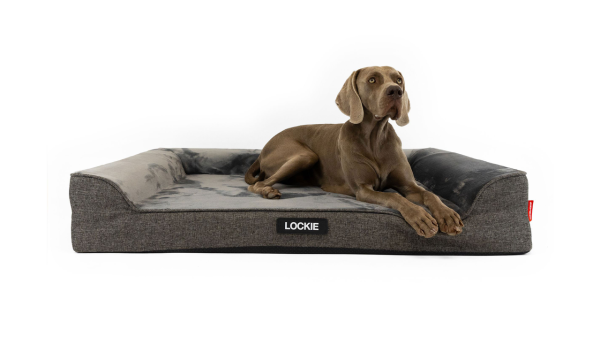 EzyDog Next-Gen Ortho Lounger Charcoal Discount