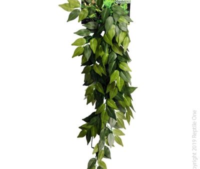 Reptile One Varigated Ivy Cascading Plant 72cm Green For Sale