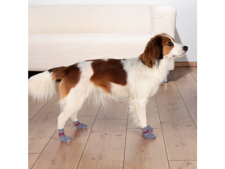 Trixie Dog Socks Non-slip 2 Pack -XS S Fashion