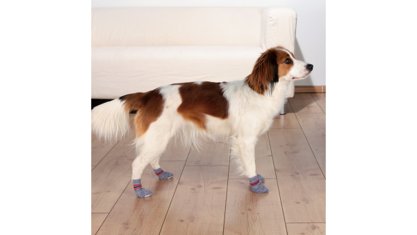 Trixie Dog Socks Non-slip 2 Pack -XS S Fashion