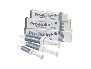 Pro-Kolin+ Probiotic Paste 15ml Online now