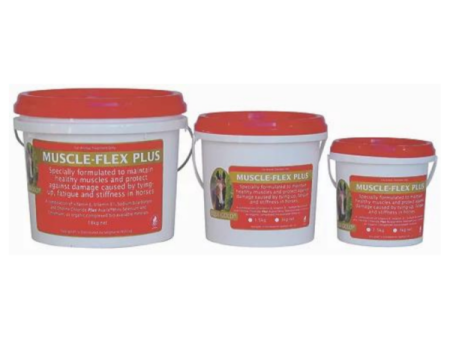 EquiGold Muscle Flex Plus 1.5KG Online Sale