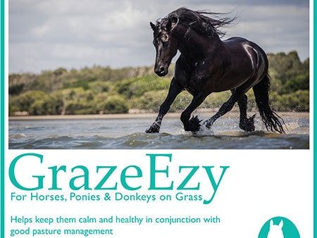 Calm Healthy Horses GrazeEzy 2kg Online Sale