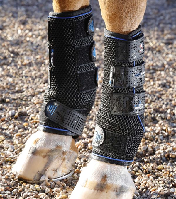 Premier Equine Cold Water Compression Boots For Sale