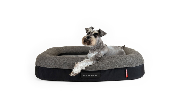 EzyDog 2in1 Ortho Calm Elite Bed Charcoal Black Hot on Sale