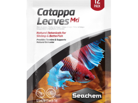 Catappa Leaves - Medium Sale