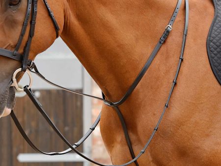 Premier Equine Gressan Standing Martingale on Sale