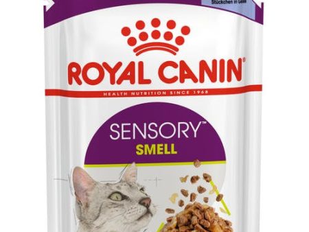 Royal Canin Sensory Smell Chunks in Jelly 85G 12 Pack For Sale