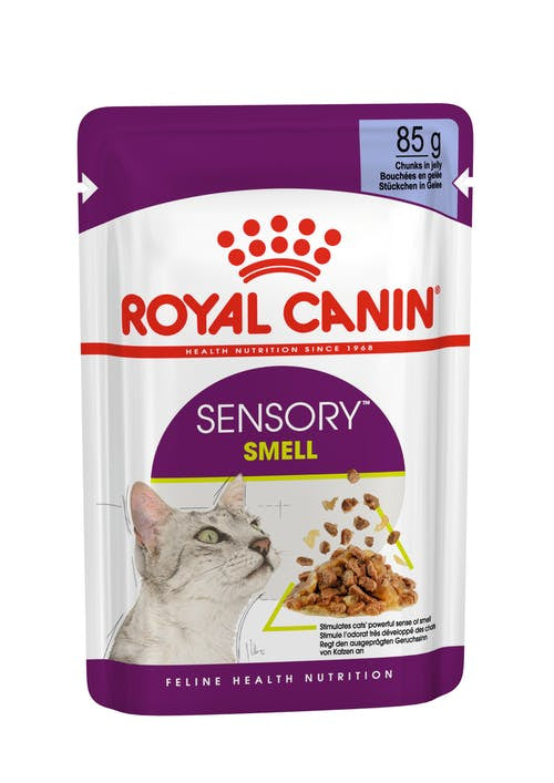 Royal Canin Sensory Smell Chunks in Jelly 85G 12 Pack For Sale