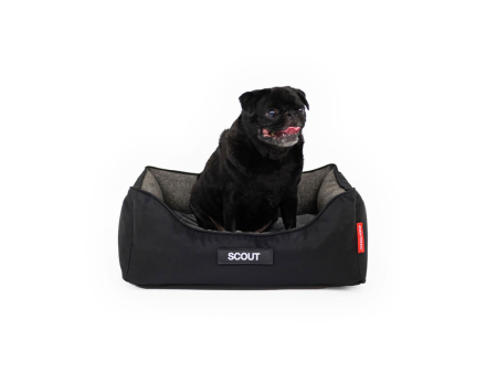 EzyDog 2in1 Ortho Smart Bed Charcoal Black Supply