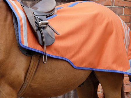 Premier Equine Stratus Horse Exercise Sheet on Sale