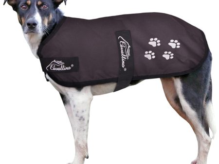 Cavallino Paw Print Dog Coat Online Sale