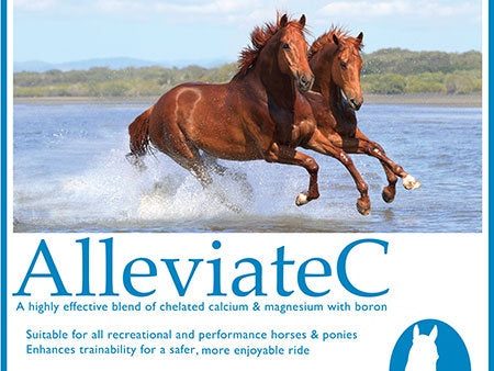 Calm Healthy Horses AlleviateC 800g Cheap