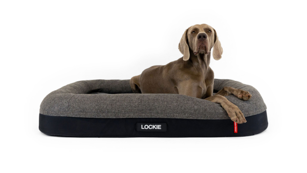 EzyDog 2in1 Ortho Calm Elite Bed Charcoal Black Hot on Sale