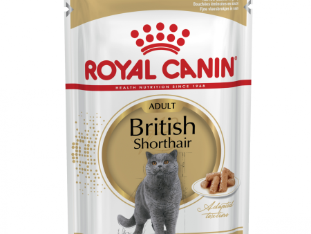 Royal Canin British Shorthair Adult 85G 12 Pack Sale