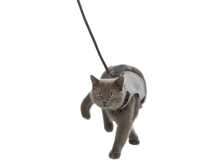 Soft Harness for Cats Supply