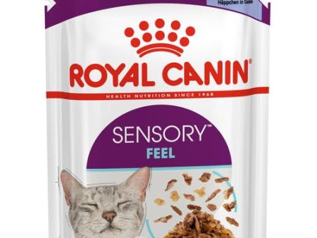 Royal Canin Sensory Feel Morsels in Jelly 85G 12 Pack Hot on Sale