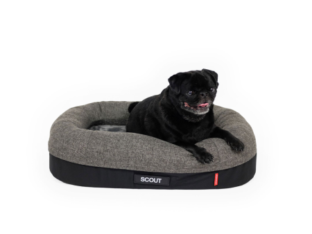 EzyDog 2in1 Ortho Calm Elite Bed Charcoal Black Hot on Sale