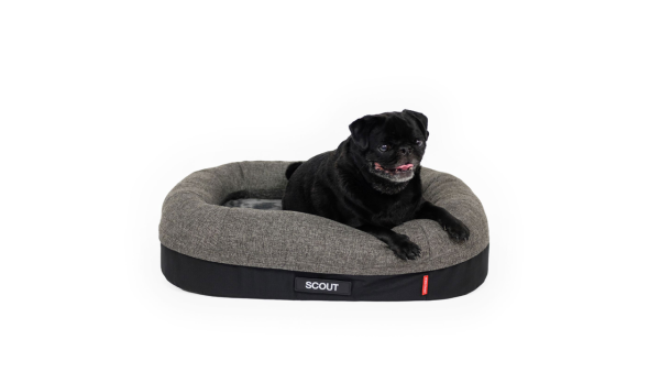 EzyDog 2in1 Ortho Calm Elite Bed Charcoal Black Hot on Sale