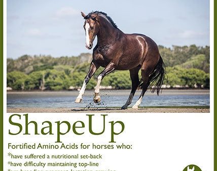 Calm Healthy Horses ShapeUp 1kg on Sale