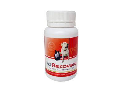 PetRecovery Glucosamine 100 Pack Discount