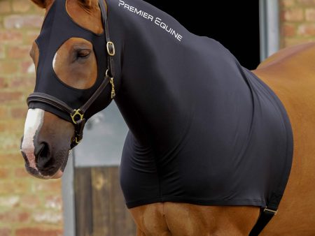 Premier Equine Stretch Lycra Hood For Cheap