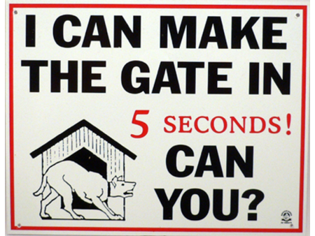 I Can Make The Gate Can You Sign Large For Sale