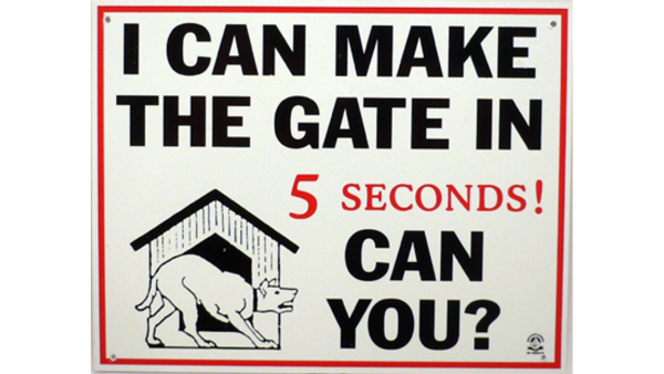 I Can Make The Gate Can You Sign Large For Sale