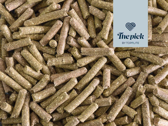 Topflite The Pick Fibre Feast for Guinea Pigs Online Hot Sale