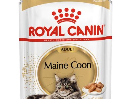 Royal Canin Maine Coon Adult 85G 12 Pack Hot on Sale