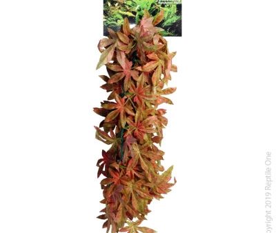 Reptile One Hanging Sativia Red 40cm on Sale