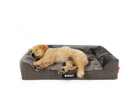 EzyDog Next-Gen Ortho Lounger Charcoal Discount