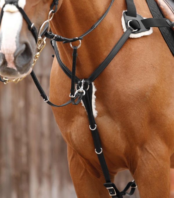 Premier Equine Invorio 5 Point Breastplate on Sale