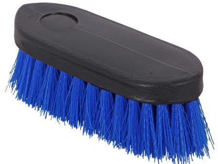 Blue Tag Dandy Brush Small Fashion