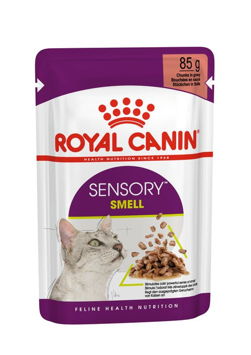 Royal Canin Sensory Smell Chunks in Gravy 85G 12 Pack Fashion